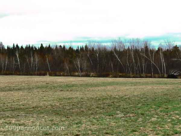 Terrain, Ferme