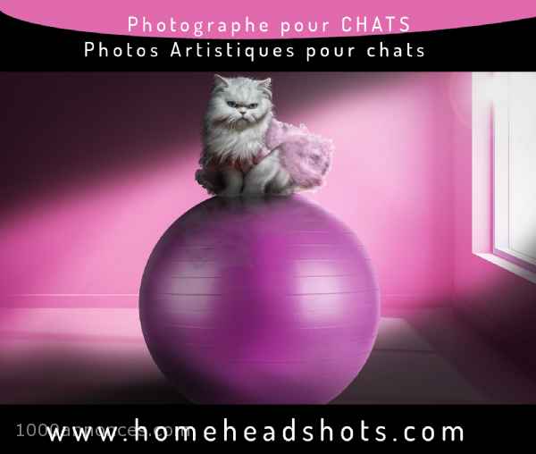 Chats